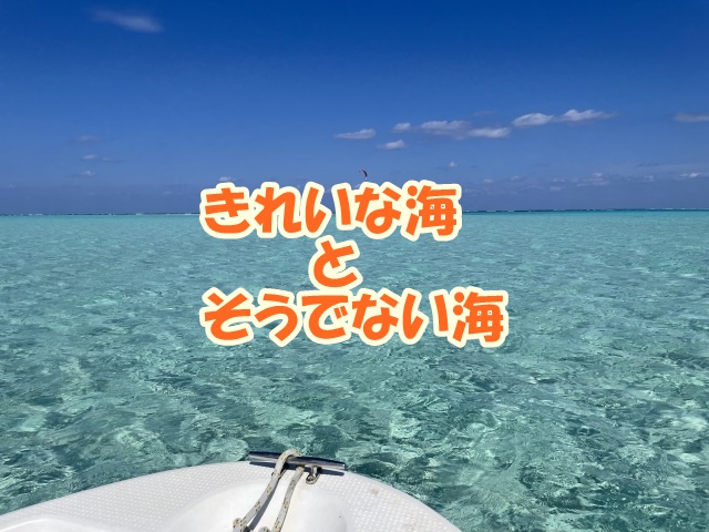 きれいな海とそうでない海