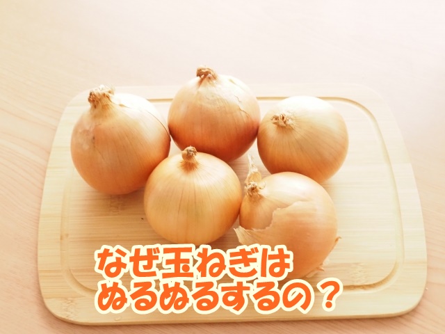 なぜ玉ねぎはぬるぬるする？